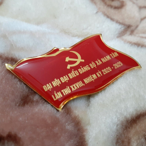 huy hiệu đảng 2