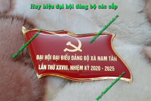 huy hiệu đại hội đảng 3